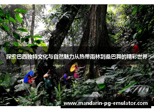 探索巴西独特文化与自然魅力从热带雨林到桑巴舞的精彩世界