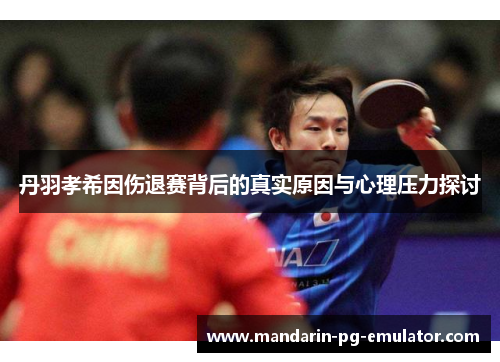 丹羽孝希因伤退赛背后的真实原因与心理压力探讨