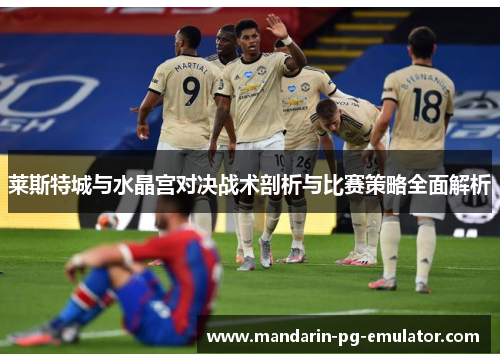 莱斯特城与水晶宫对决战术剖析与比赛策略全面解析