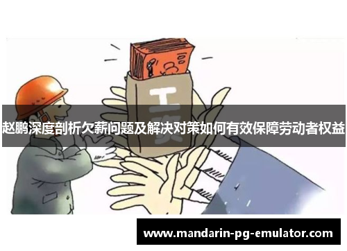 赵鹏深度剖析欠薪问题及解决对策如何有效保障劳动者权益