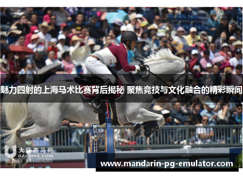 魅力四射的上海马术比赛背后揭秘 聚焦竞技与文化融合的精彩瞬间